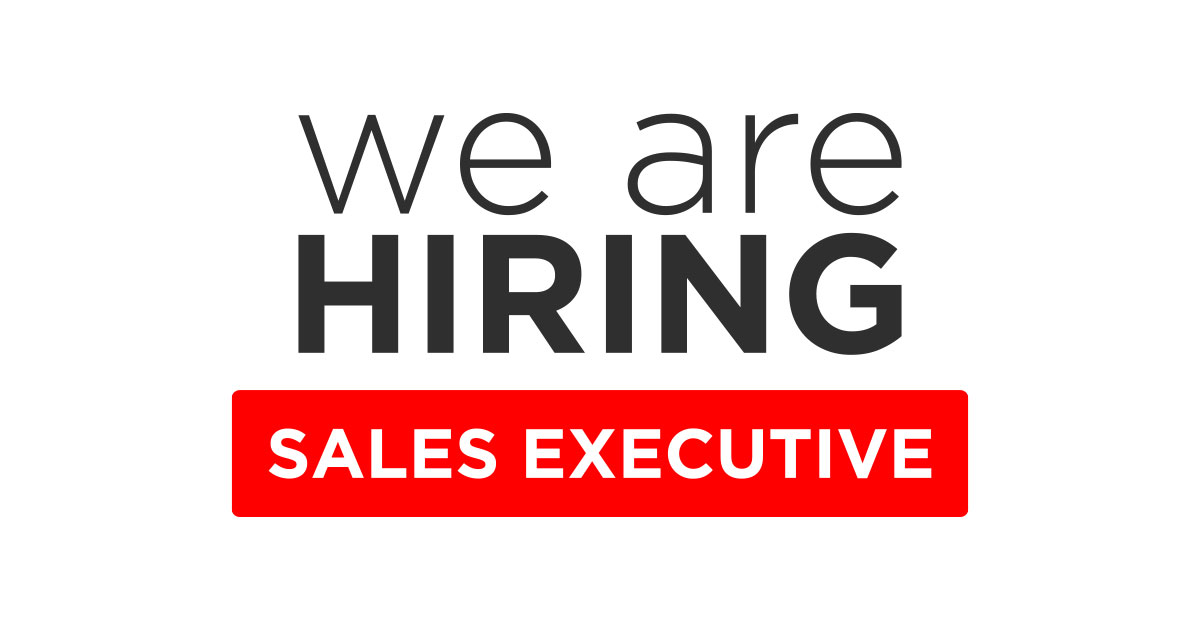 directive sales executive career